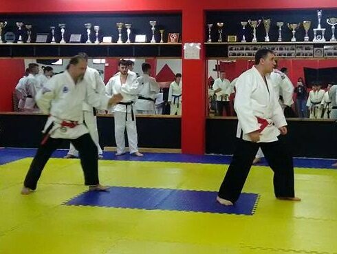 JU JITSU GOSHIN DO