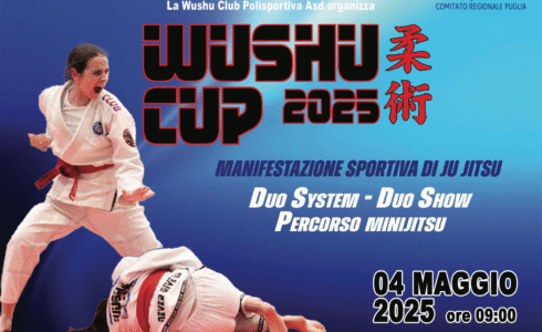 WUSHU CUP 2025