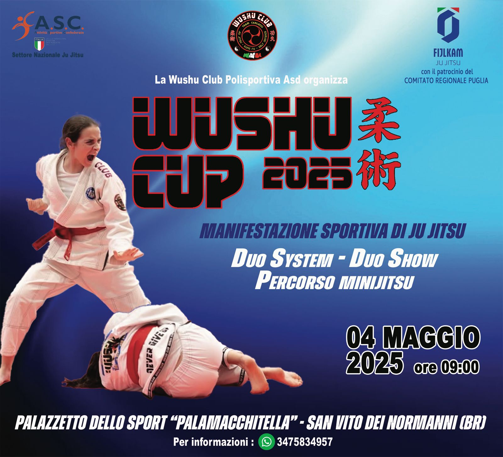 WUSHU CUP 2025