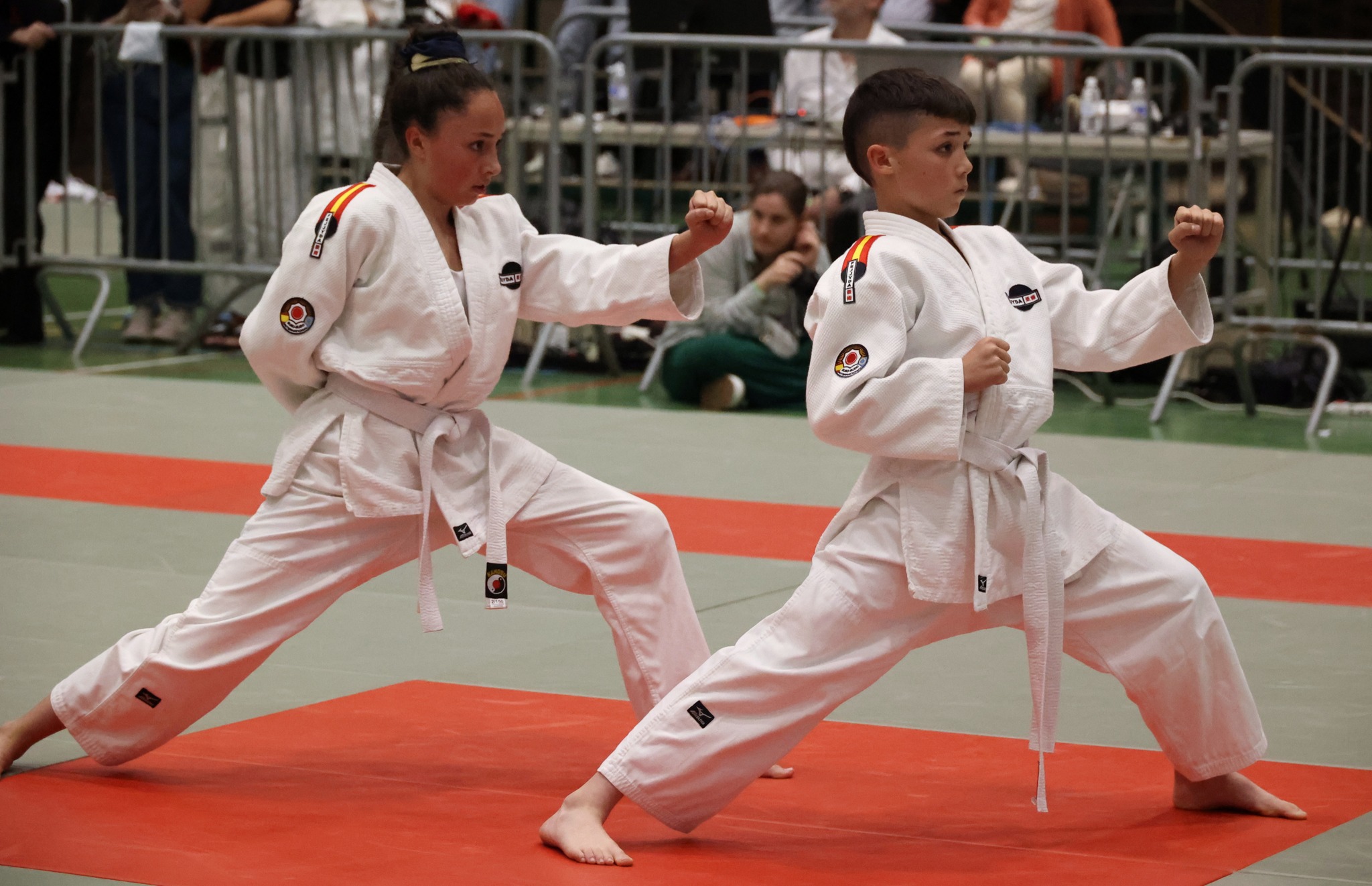 GOSHIN DO